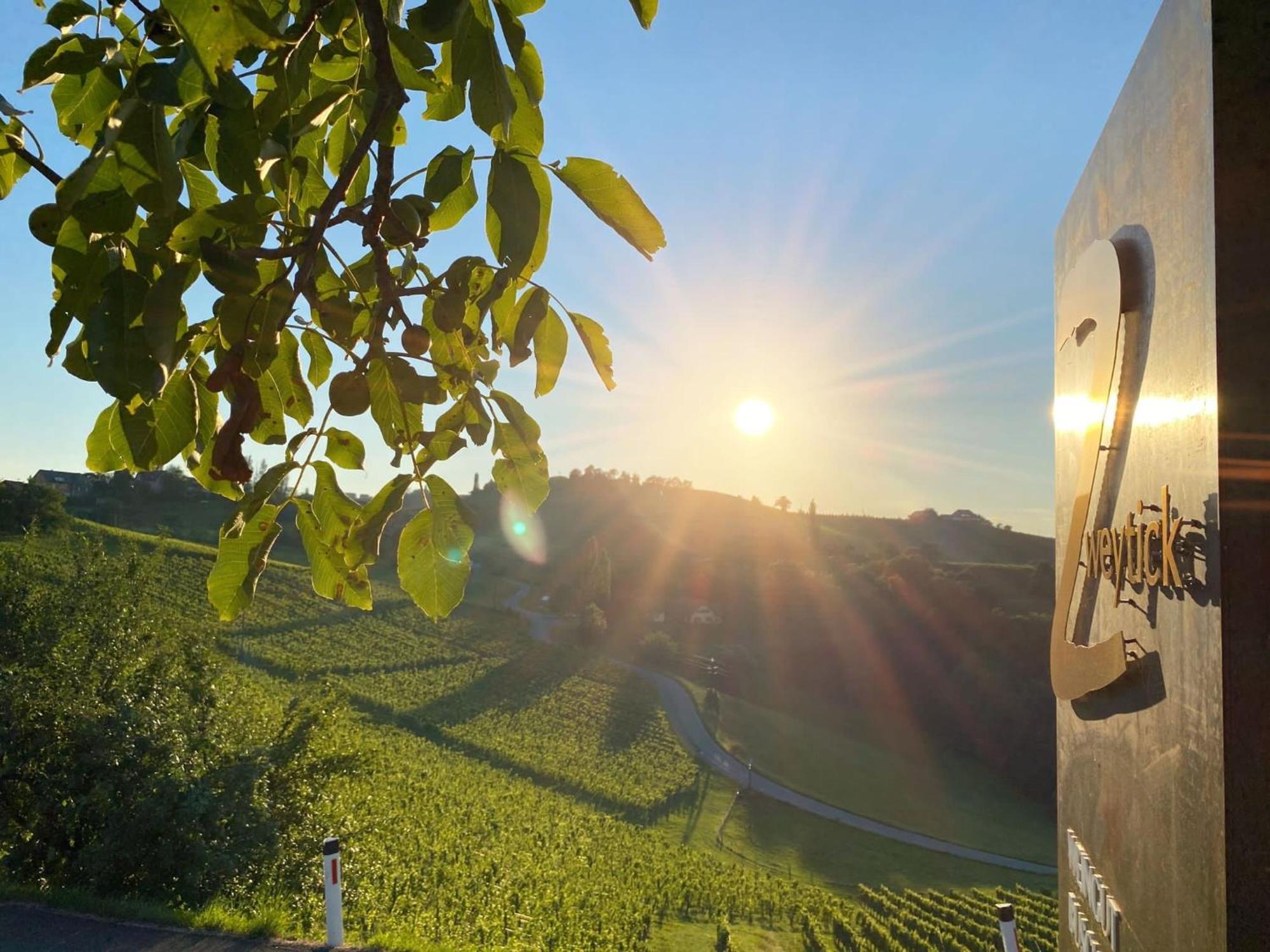 Zweytick Gaestezimmer Weingut Рач-ан-дер-Вайнштрассе Екстер'єр фото