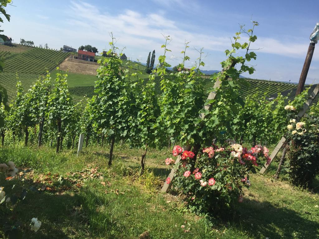 Zweytick Gaestezimmer Weingut Рач-ан-дер-Вайнштрассе Екстер'єр фото